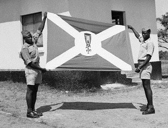 https://www.crwflags.com/fotw/images/b/bi_vhe.jpg